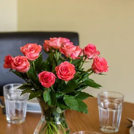 Spacerowa W Spokojnej Okolicy By Renters Διαμέρισμα Łukęcin